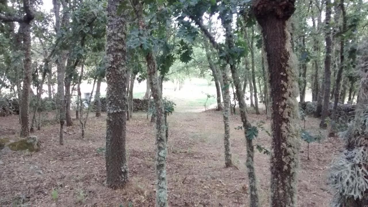 Отель Las Casitas De Las Arribes Альдеадавила-де-ла-Рибера Экстерьер фото